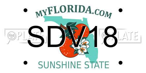 SDV18 Florida License Plate