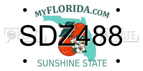 SDZ488 Florida License Plate