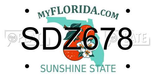 SDZ678 Florida License Plate