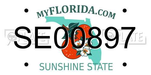 SE00897 Florida License Plate