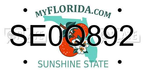 SE0Q892 Florida License Plate