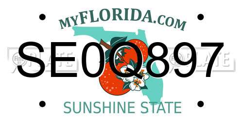 SE0Q897 Florida License Plate