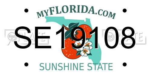 SE19108 Florida License Plate