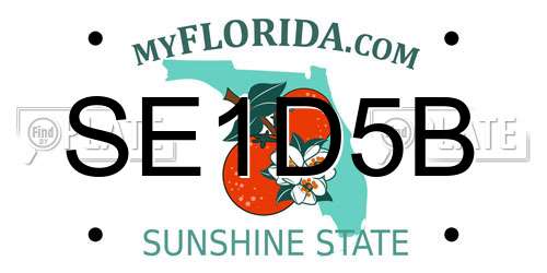 SE1D5B Florida License Plate