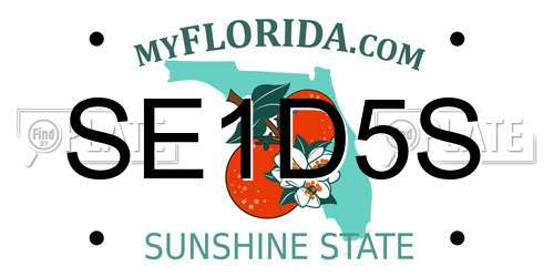 SE1D5S Florida License Plate