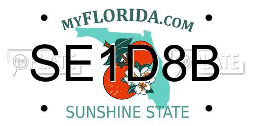 SE1D8B Florida License Plate