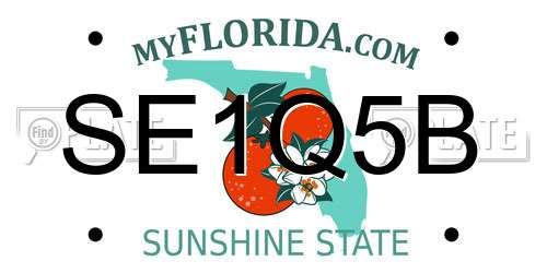 SE1Q5B Florida License Plate