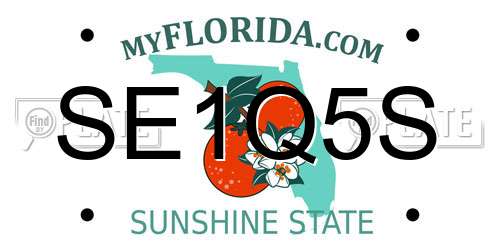 SE1Q5S Florida License Plate