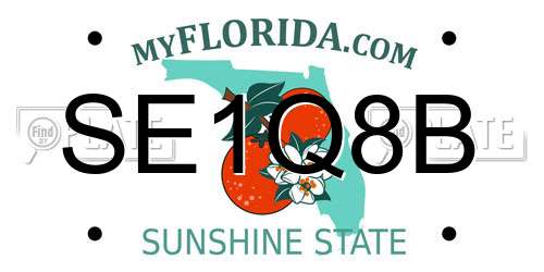 SE1Q8B Florida License Plate