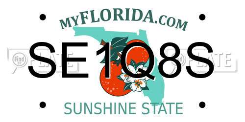 SE1Q8S Florida License Plate