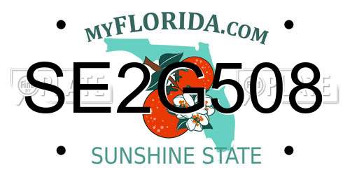 SE2G508 Florida License Plate