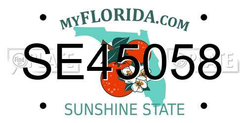 SE45058 Florida License Plate