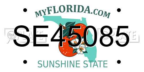 SE45085 Florida License Plate