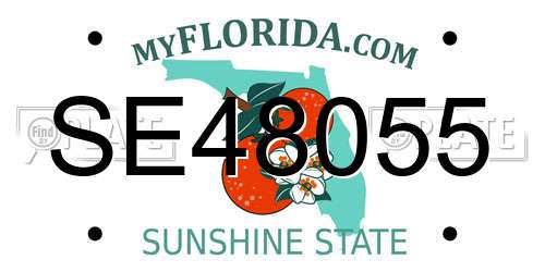 SE48055 Florida License Plate