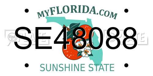 SE48088 Florida License Plate