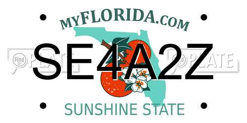 SE4A2Z Florida License Plate