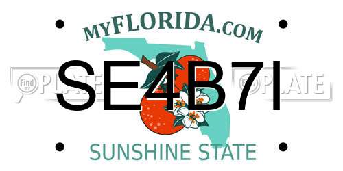 SE4B7I Florida License Plate