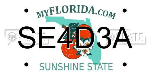 SE4D3A Florida License Plate