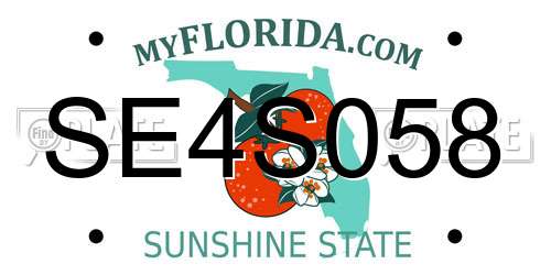 SE4S058 Florida License Plate