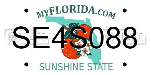 SE4S088 Florida License Plate