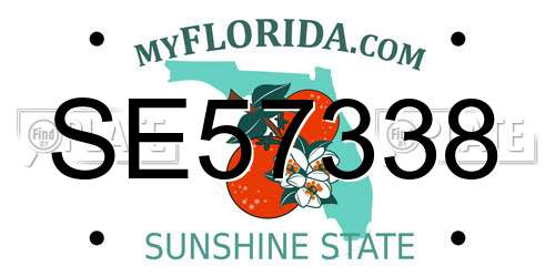 SE57338 Florida License Plate