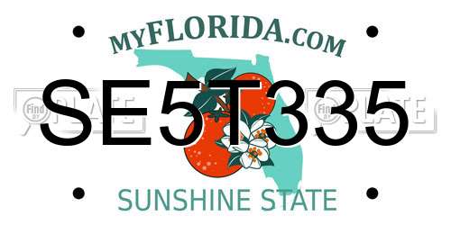 SE5T335 Florida License Plate