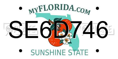 SE6D746 Florida License Plate