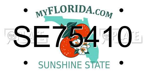 SE75410 Florida License Plate