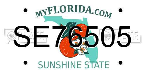 SE76505 Florida License Plate