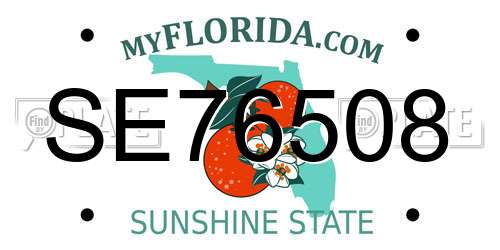 SE76508 Florida License Plate