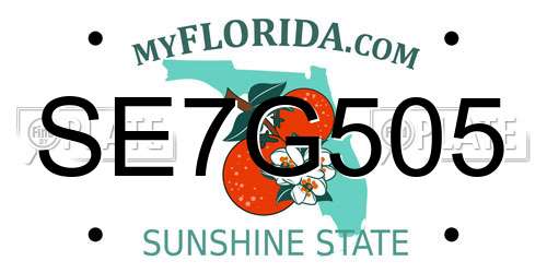 SE7G505 Florida License Plate