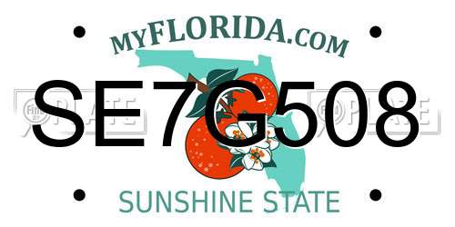 SE7G508 Florida License Plate