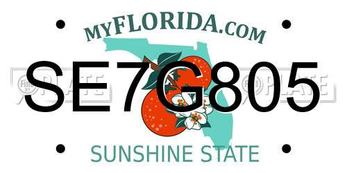 SE7G805 Florida License Plate