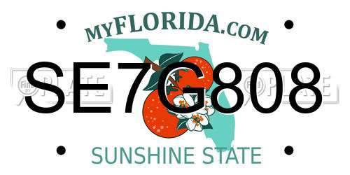 SE7G808 Florida License Plate