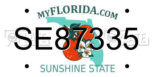 SE87335 Florida License Plate