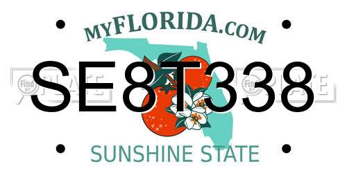 SE8T338 Florida License Plate