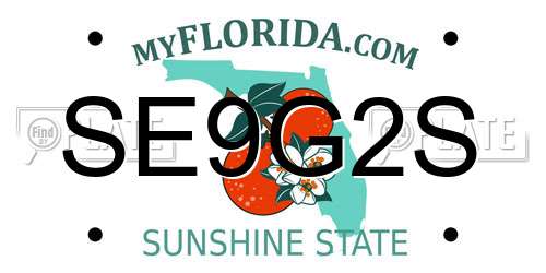 SE9G2S Florida License Plate