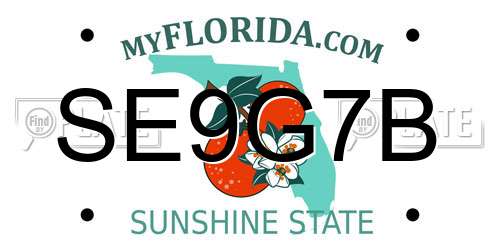 SE9G7B Florida License Plate