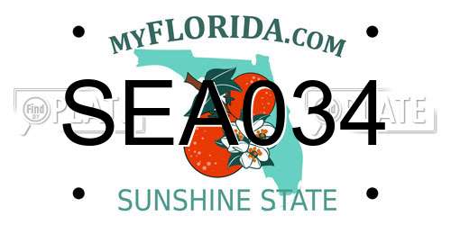 SEA034 Florida License Plate