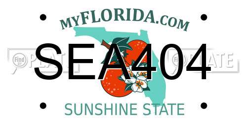 SEA404 Florida License Plate