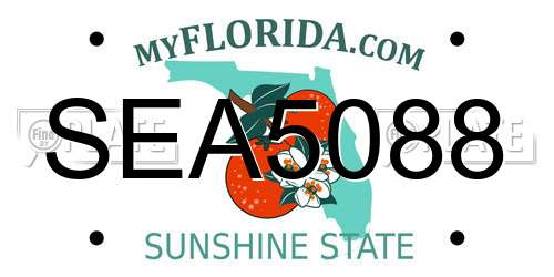 SEA5088 Florida License Plate