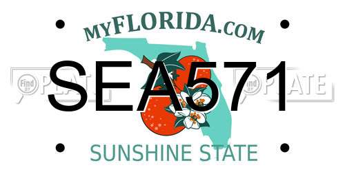 SEA571 Florida License Plate