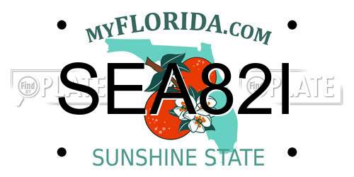 SEA82I Florida License Plate