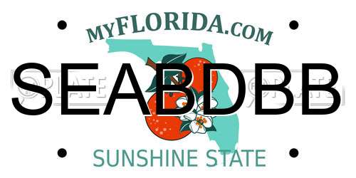 SEABDBB Florida License Plate