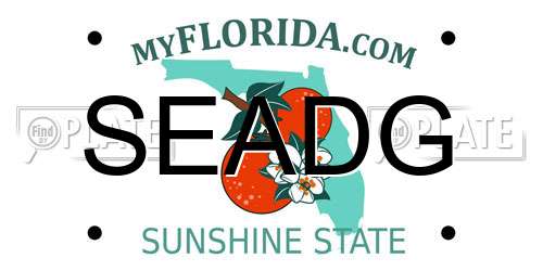 SEADG Florida License Plate