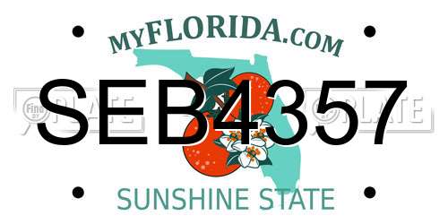 SEB4357 Florida License Plate