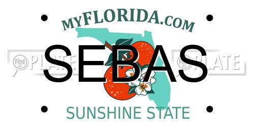SEBAS Florida License Plate