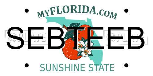 SEBTEEB Florida License Plate