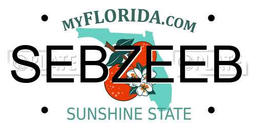 SEBZEEB Florida License Plate