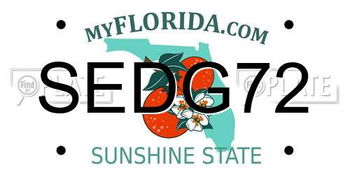 SEDG72 Florida License Plate